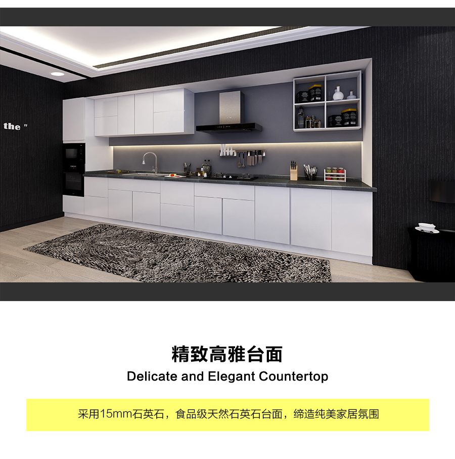 星空梵高定制櫥柜 現(xiàn)代簡(jiǎn)約整體定制櫥柜 石英石臺(tái)面定制櫥柜 雙飾面-顆?？酒?10定制櫥柜