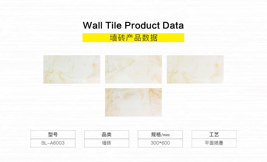 衛(wèi)生間內(nèi)墻磚 金斯敦